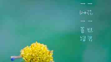 男生和女生一起拆拆拆 - 在拆箱中升温的三种默契
