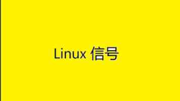 黄红武：面向时代之需 建设发展新型研究型大学