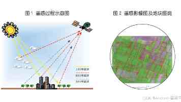 51朝阳群众：为什么人人想当却不敢靠近？