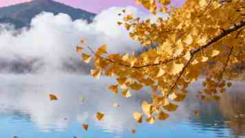 欧美精产国品一二三区|分区含义与选品避坑实测