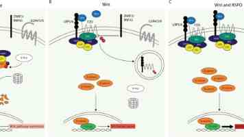 第十届（乙巳年）海峡两岸同胞神农炎帝故里民间交流活动在高平举行