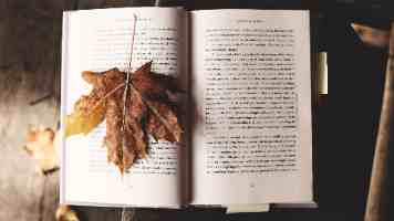 每日大赛校园大赛|深度参与攻略与避坑经验