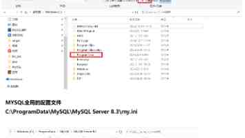 九色pony蝌蚪玩具全面测评：玩法、材质与选购要点